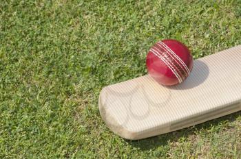 Cricket ball on a cricket bat in a field