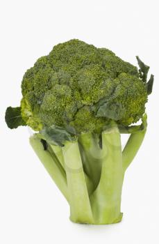 Close-up of a broccoli