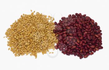 Close-up of wheat and kidney beans