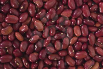 Close-up of kidney beans
