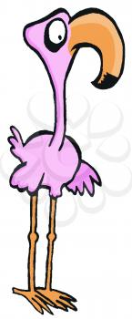 Royalty Free Clipart Image of a Flamingo