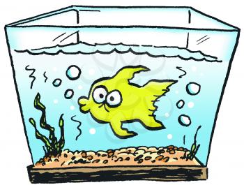 Royalty Free Clipart Image of a Fish in an Aquarium