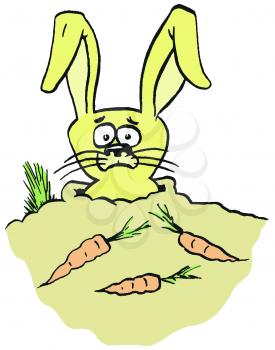 Royalty Free Clipart Image of a Rabbit and Carrots