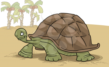 Royalty Free Clipart Image of a Turtle