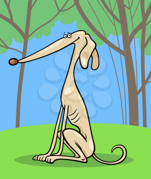 Cartoon Illustration of Funny Purebred Greyhound Dog against Blue Sky and Trees