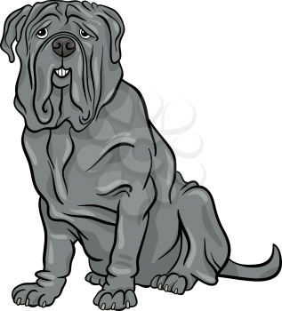 Cartoon Illustration of Cute Neapolitan Mastiff Purebred Dog