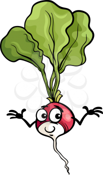 Cartoon Illustration of Funny Comic Radish Vegetable Food Character
