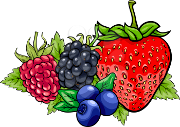 Cartoon Illustration of Four Berry Fruits like Blueberry and Blackberry and Raspberry and Strawberry Food Design