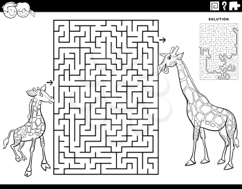 Black and white cartoon illustration of educational maze puzzle game for children with baby giraffe and mom coloring book page