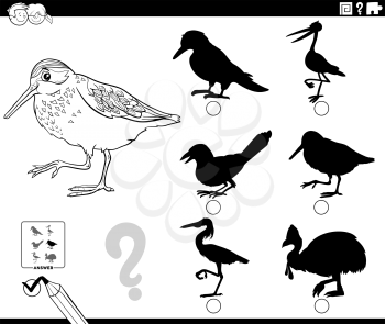Black and white cartoon illustration of finding the right shadow to the picture educational game for children with western sandpiper bird animal character coloring book page