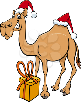 Cartoon illustration of dromedary camel animal character with present on Christmas time