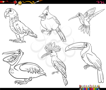 Black and white cartoon illustration of birds animal characters set coloring book page