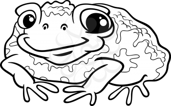 Black and White Cartoon Illustration of Funny Toad Amphibian Animal for Coloring Book