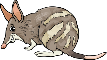 Cartoon Illustration of Cute Bandicoot Marsupial Animal