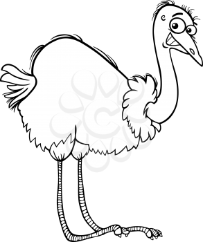 Black and White Cartoon Illustration of Funny Nandu Ostrich Bird Animal for Coloring Book