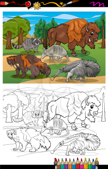 Coloring Book or Page Cartoon Illustration of Black and White Funny American Mammals Animals Characters Group for Children