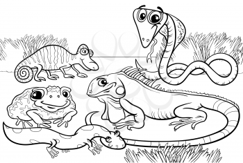 Black and White Cartoon Illustrations of Funny Reptiles and Amphibians Animals Characters Group for Coloring Book