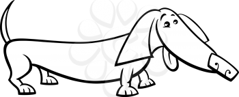 Black and White Cartoon Illustration of Funny Purebred Dachshund Dog for Coloring Book