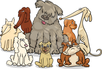 Cartoon Illustration of Cute Purebred Dogs Animal Characters Group