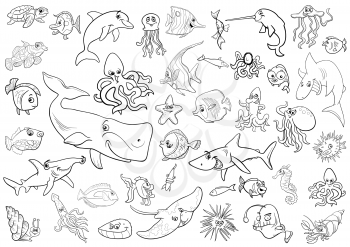Black and White Cartoon Illustrations of Sea Life Animals and Fish Characters Group Coloring Page