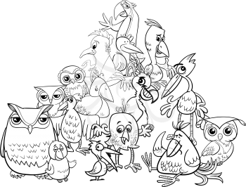 Black and White Cartoon Illustration of Birds Animal Characters Group Coloring Book