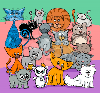 Cartoon Illustration of Comic Cats and Kittens Animal Characters Group