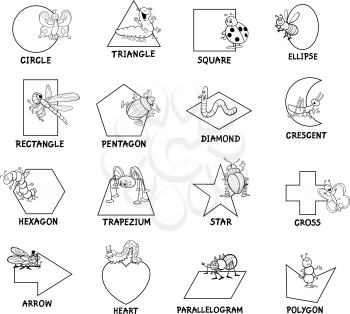 Black and White Educational Cartoon Illustration of Basic Geometric Shapes with Captions and Insects Animal Characters for Children