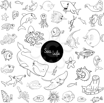 Black and White Cartoon Illustration of Sea Life Animal Characters Large Collection Coloring Page