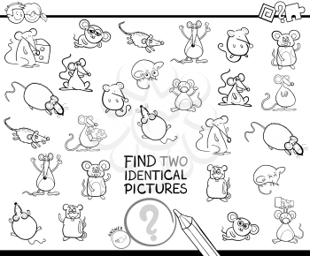 Black and White Cartoon Illustration of Finding Two Identical Pictures Educational Activity Game for Children with Mice Animal Characters Coloring Book
