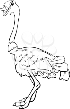 Black and White Cartoon Illustration of Funny Ostrich Bird Animal Character Coloring Book
