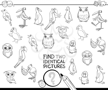 Black and White Cartoon Illustration of Finding Two Identical Pictures Educational Game for Children with Birds Animal Characters Coloring Book