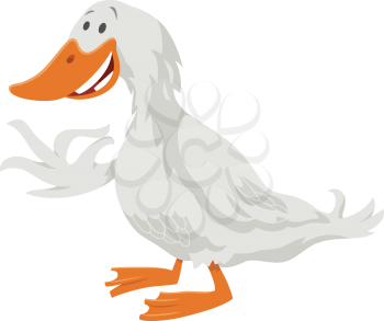 Cartoon illustration of funny duck bird farm animal character