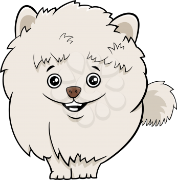 Cartoon illustration of cute phaggy purebred pomeranian puppy or dog