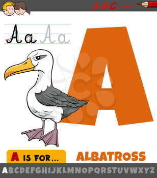 Educational cartoon illustration of letter A from alphabet with albatross bird animal character for children 