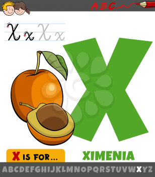 Educational cartoon illustration of letter X from alphabet with ximenia fruit for Children 