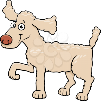 Cartoon Illustration of Funny Poodle Dog Comic Animal Character