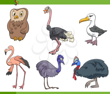 Cartoon Illustration of Birds Species Animal Characters Set