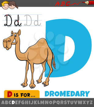 Educational cartoon illustration of letter D from alphabet with dromedary animal character for children 