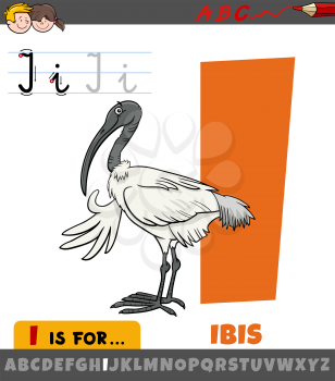 Educational cartoon illustration of letter I from alphabet with ibis bird animal character for children 