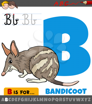 Educational cartoon illustration of letter B from alphabet with bandicoot animal character