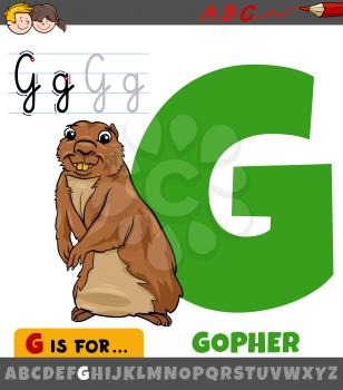 Educational cartoon illustration of letter G from alphabet with gopher animal character