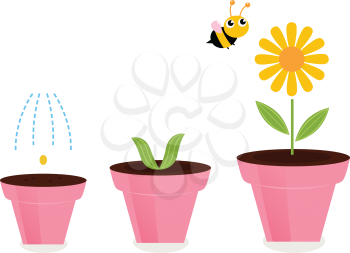 Cute spring flower growth. Vector cartoon Illustration