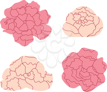 Sweet Peony flowers collection. Vector Illustration