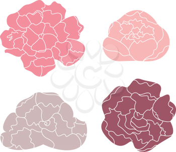 Sweet Peony flowers collection. Vector Illustration
