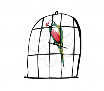Royalty Free Clipart Image of a Parrot 
