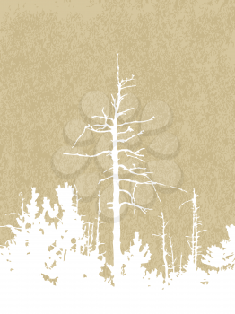 Royalty Free Clipart Image of a Forest