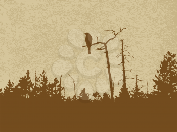 Royalty Free Clipart Image of a Bird in a Tree