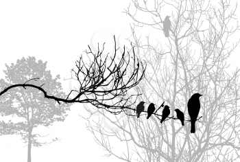 Royalty Free Clipart Image of Birds in a Tree