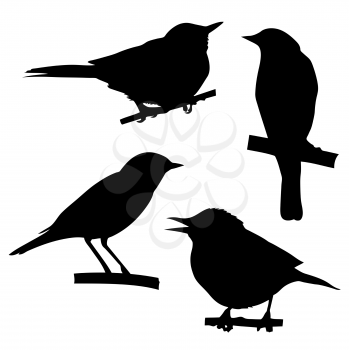 Royalty Free Clipart Image of Birds Sitting on Branches
