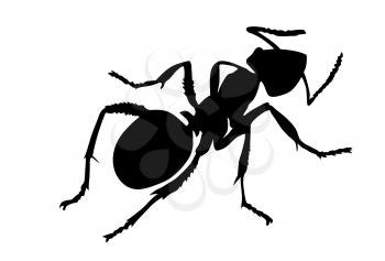 Royalty Free Clipart Image of an Ant